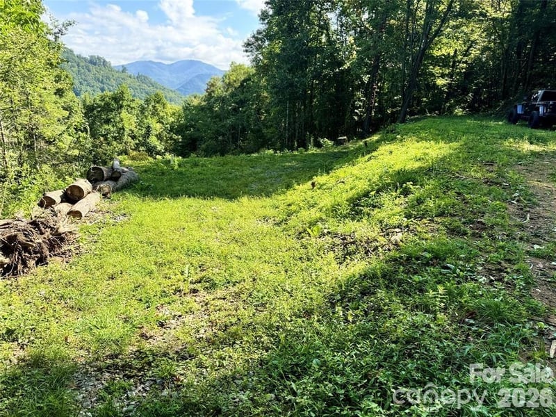 350 Scotts Trl, Madison, NC 28743