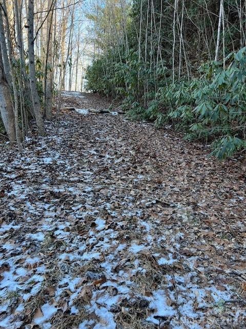 621 Round Top Rd, Almond, NC 28702