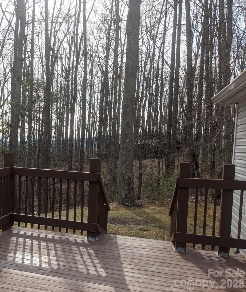 11 Gertrude Ln, Candler, NC 28715