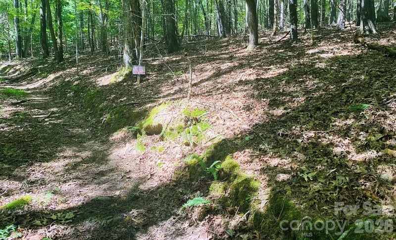 919 Panther Top Rd, Murphy, NC 28906