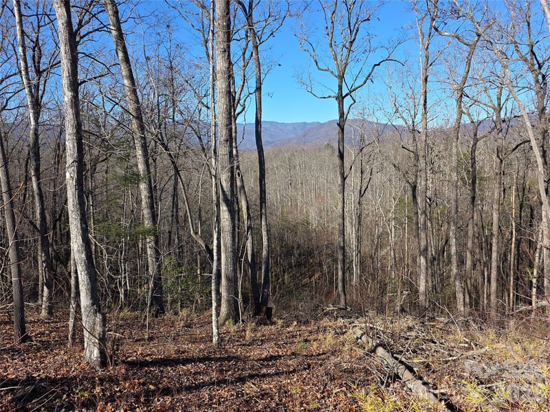 Lot 2 Warren Ridge Rd, Old Fort, NC 28762