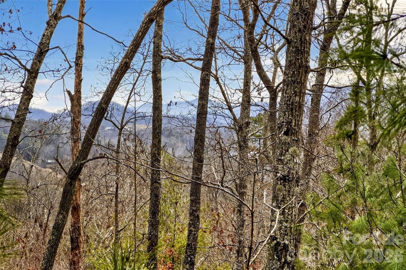 149 Turkey Trot Trl #17, Marshall, NC 28753