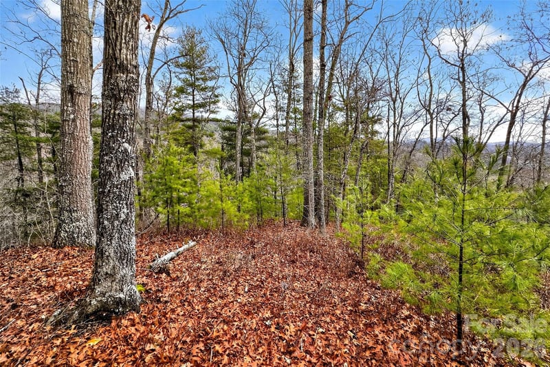 149 Turkey Trot Trl #17, Marshall, NC 28753