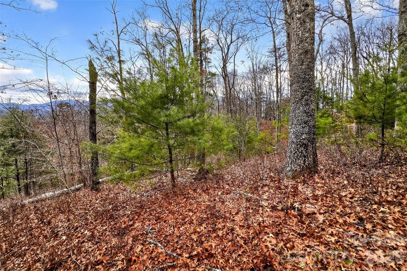 149 Turkey Trot Trl #17, Marshall, NC 28753