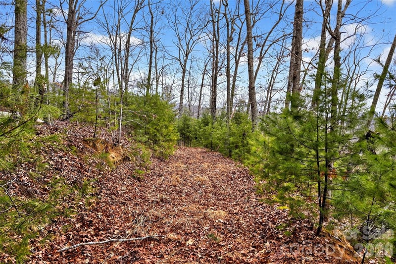 149 Turkey Trot Trl #17, Marshall, NC 28753