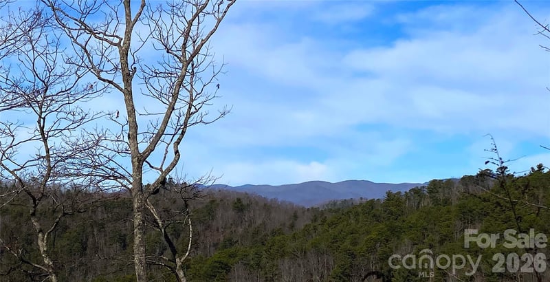 TBD Ruffed Grouse Rd #L045, Brevard, NC 28712