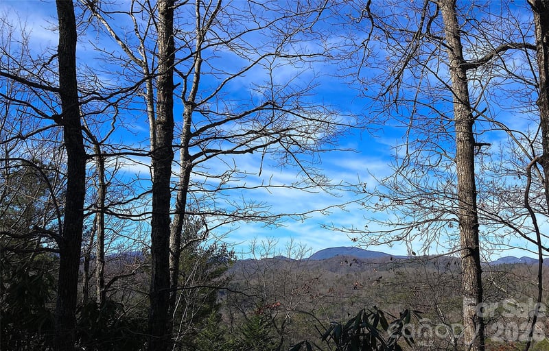 TBD Ruffed Grouse Rd #L045, Brevard, NC 28712