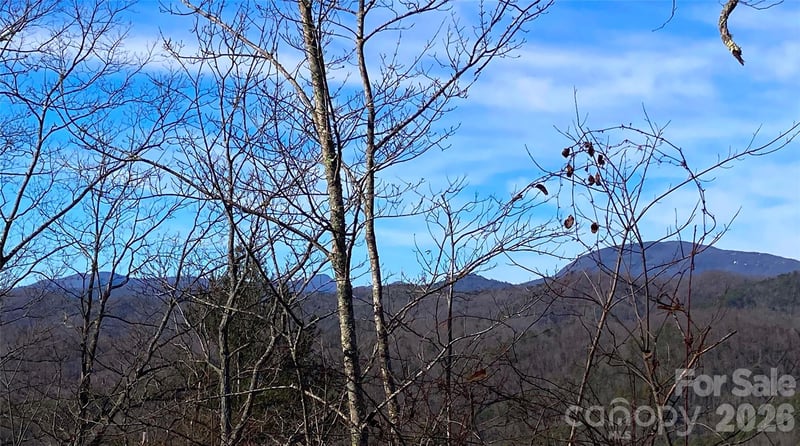 TBD Ruffed Grouse Rd #L045, Brevard, NC 28712