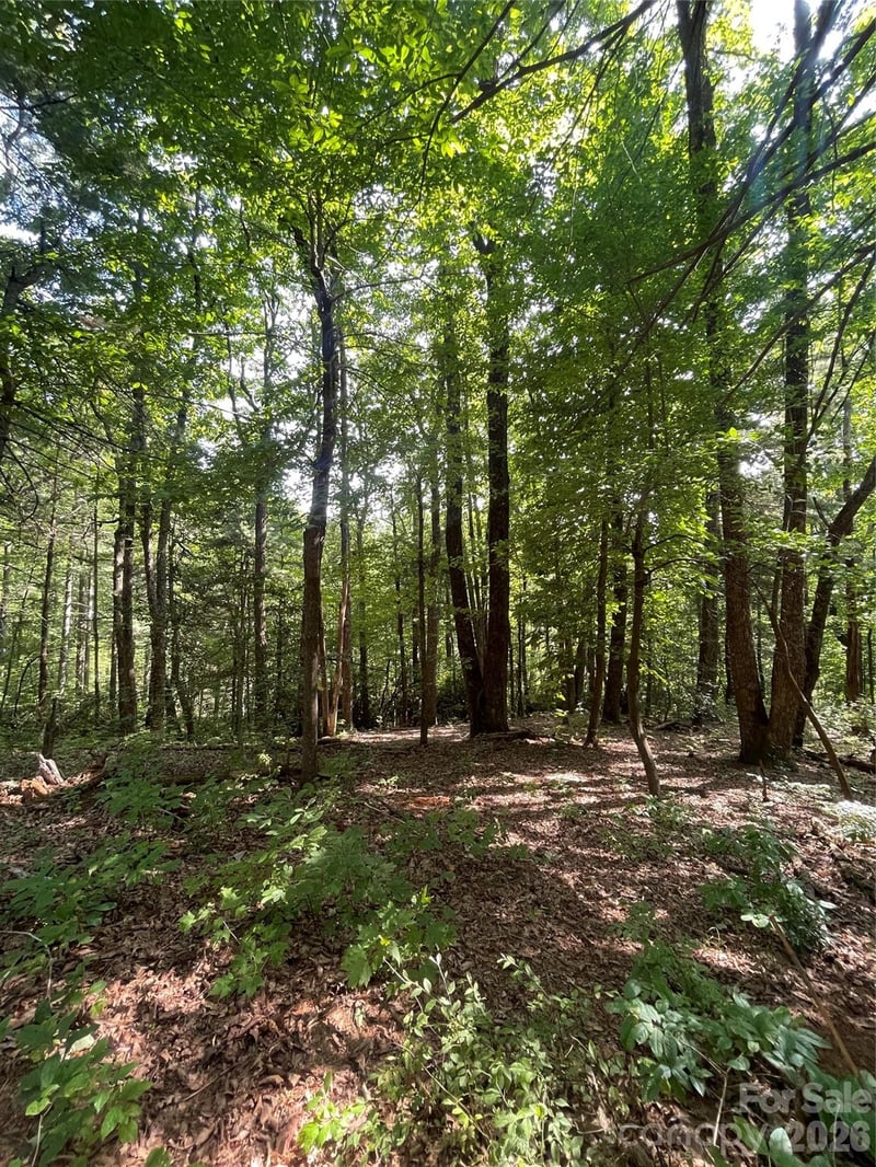 Haverhill Ct #21, Flat Rock, NC 28731