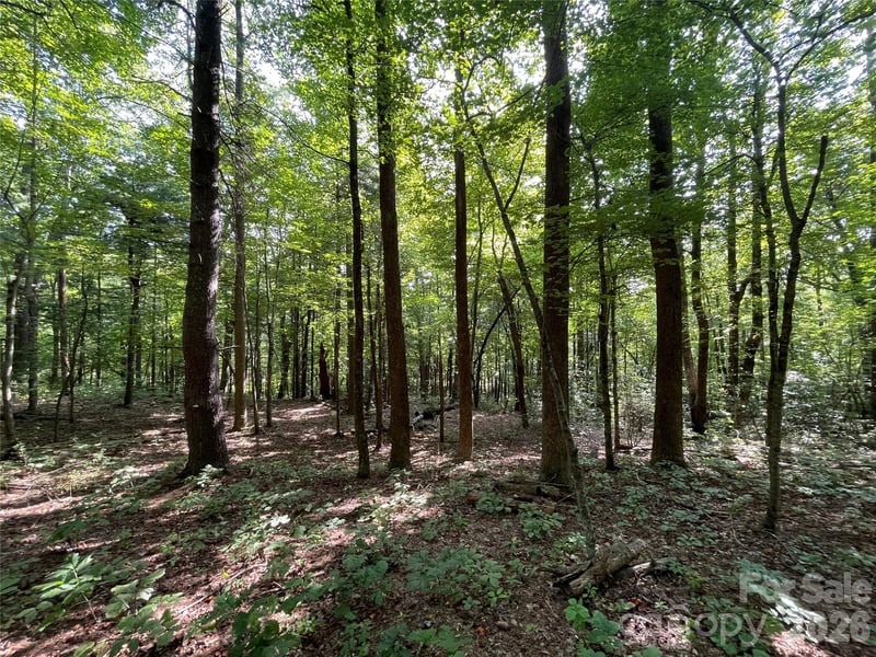 Lot 20 Haverhill Ct #20, Flat Rock, NC 28731