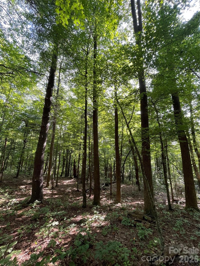 Lot 20 Haverhill Ct #20, Flat Rock, NC 28731