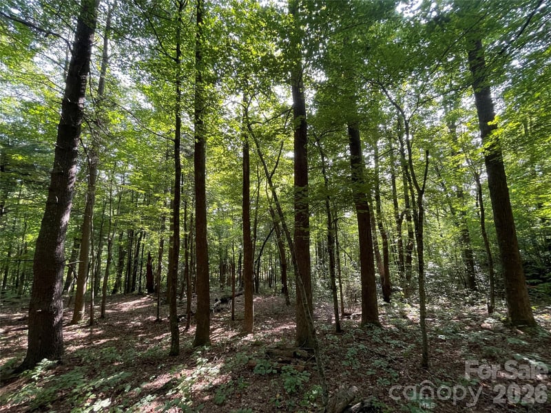 Lot 20 Haverhill Ct #20, Flat Rock, NC 28731