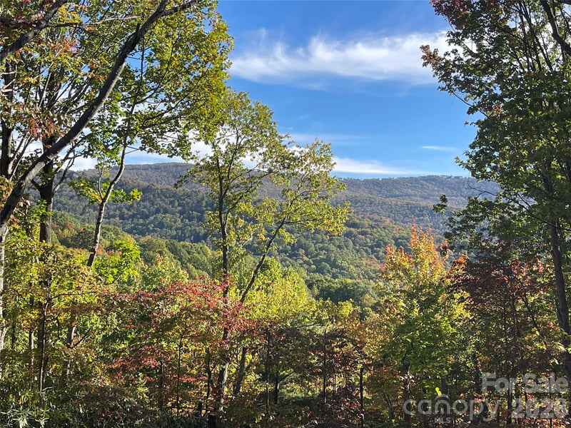 225 Oak Rd, Beech Mountain, NC 28604