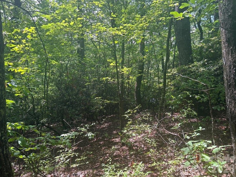 Pine Ridge Rd #21, Hendersonville, NC 28792