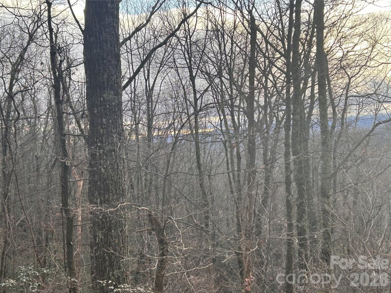 Pine Ridge Rd #21, Hendersonville, NC 28792