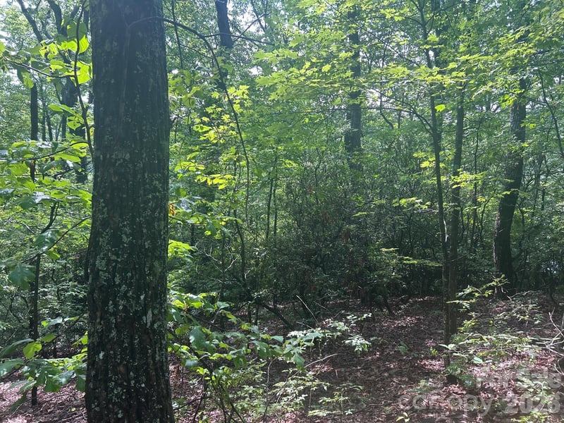 Pine Ridge Rd #21, Hendersonville, NC 28792
