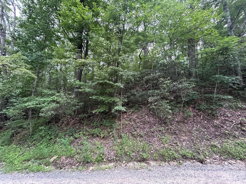 Pine Ridge Rd #21, Hendersonville, NC 28792