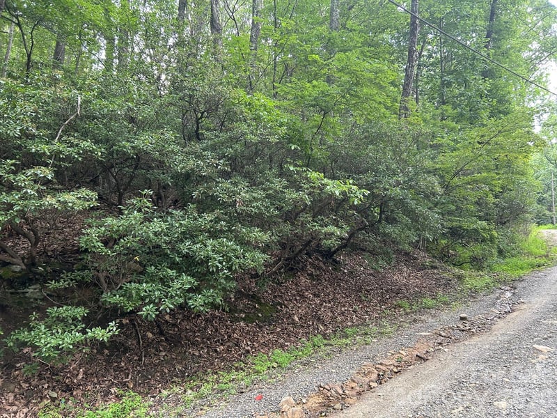 Pine Ridge Rd #21, Hendersonville, NC 28792