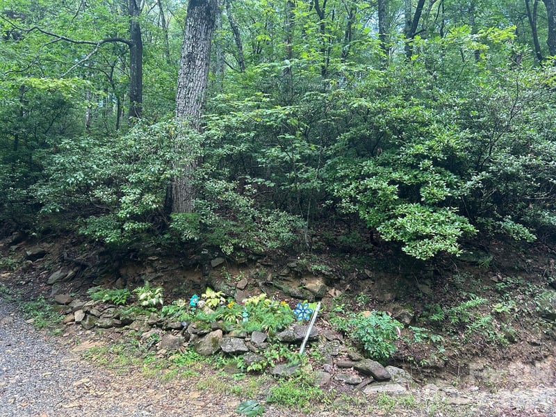Pine Ridge Rd #21, Hendersonville, NC 28792