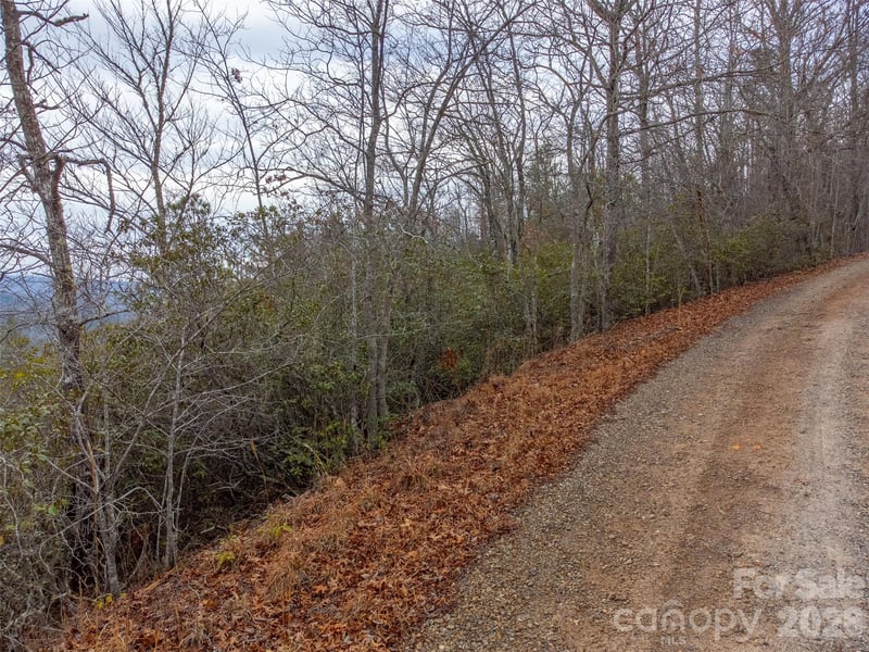 9999 Lower Burningtown Rd, Franklin, NC 28734