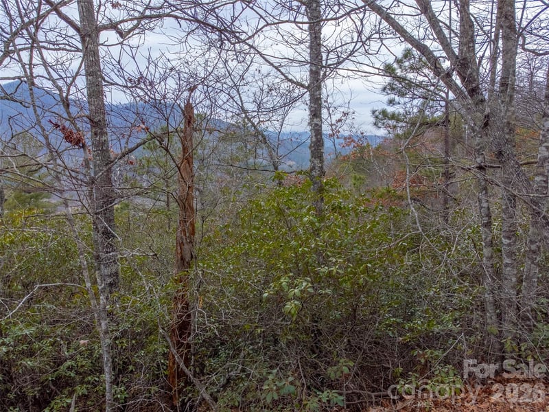 9999 Lower Burningtown Rd, Franklin, NC 28734