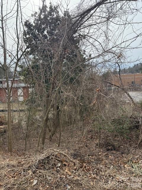 37 Johnson Dr #2, Asheville, NC 28804