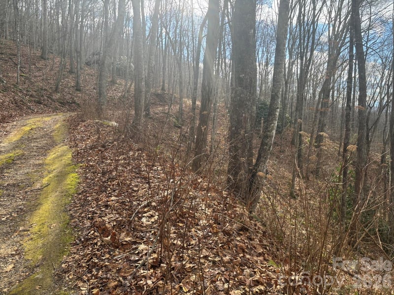 68 Grouse Rd #68, Clyde, NC 28721