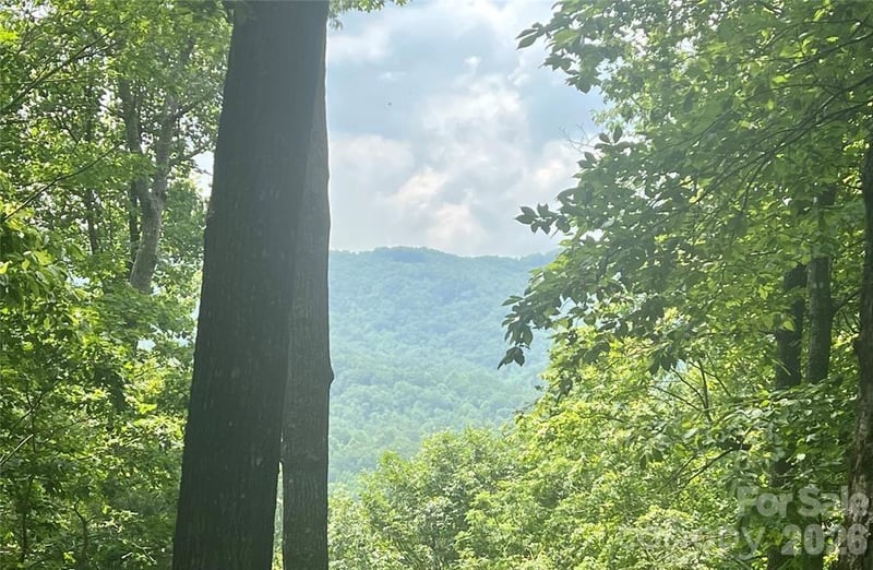 Lot 10 Joshua Rd, Rosman, NC 28772