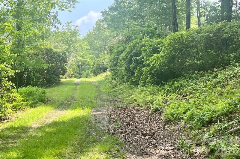 Lot 10 Joshua Rd, Rosman, NC 28772