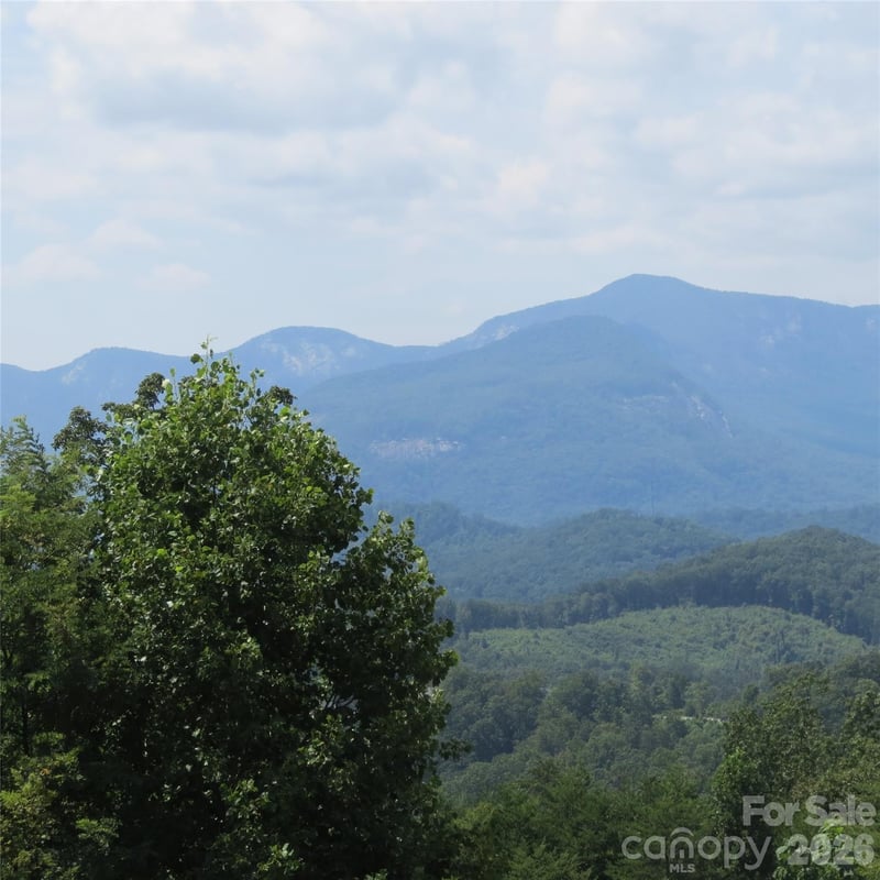 336 Willow Top Ln #336, Lake Lure, NC 28746