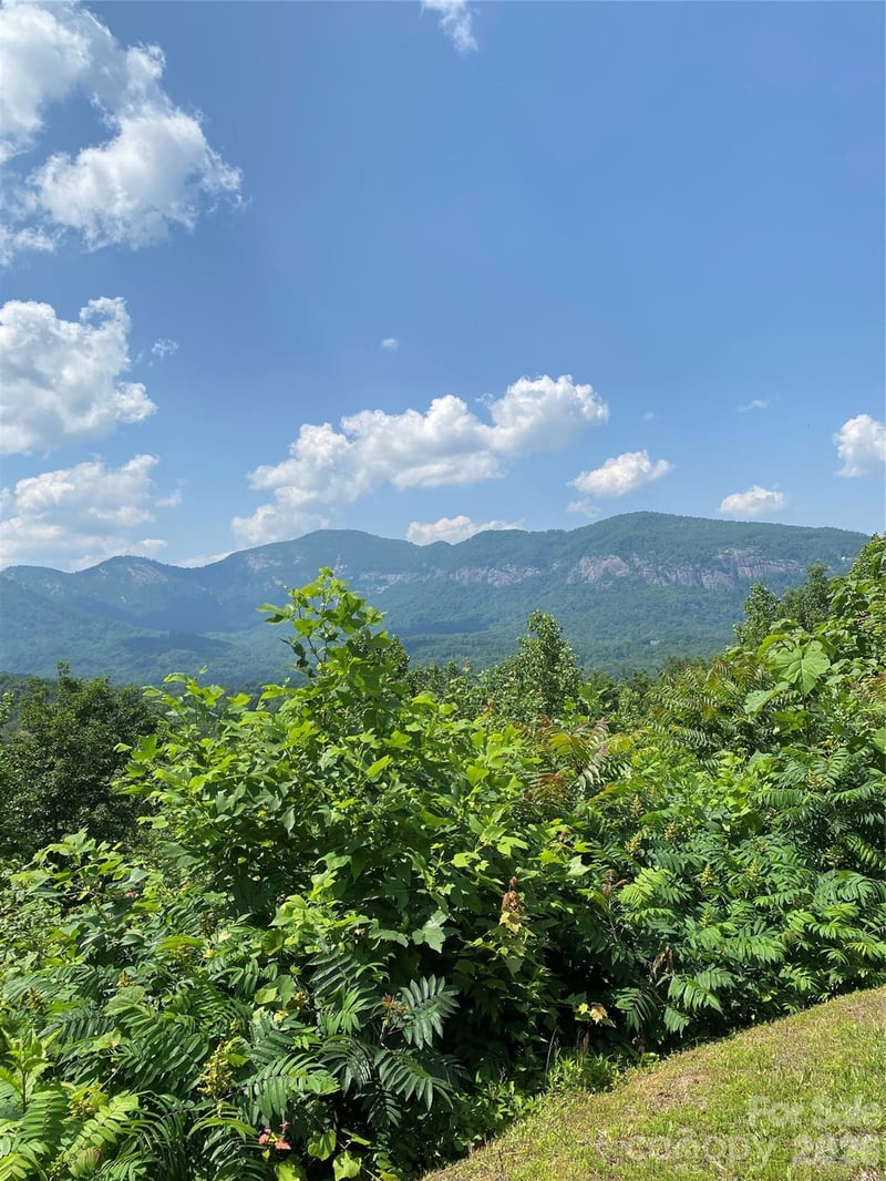 336 Willow Top Ln #336, Lake Lure, NC 28746