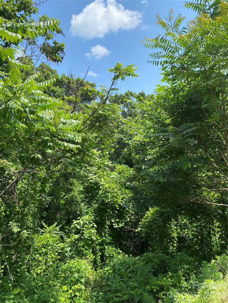 336 Willow Top Ln #336, Lake Lure, NC 28746