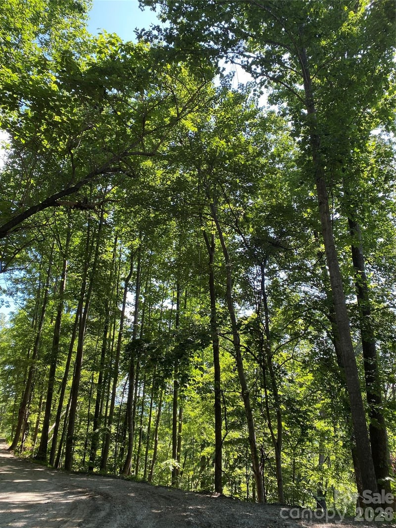 336 Willow Top Ln #336, Lake Lure, NC 28746