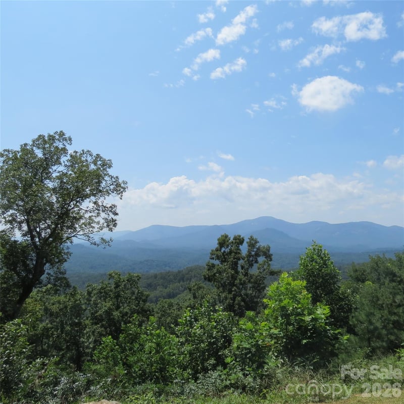 336 Willow Top Ln #336, Lake Lure, NC 28746