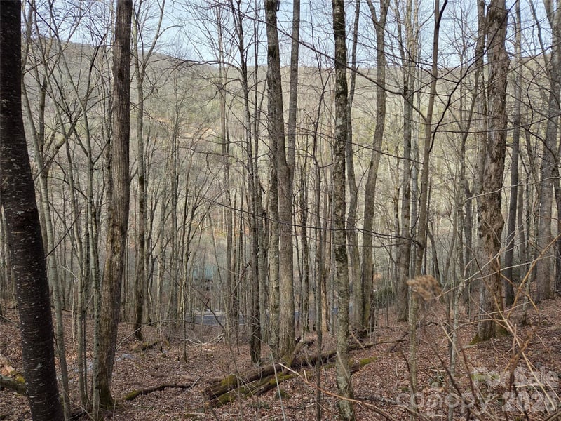 180 Goat House Way, Maggie Valley, NC 28751