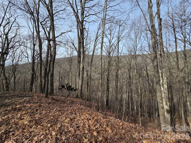 180 Goat House Way, Maggie Valley, NC 28751