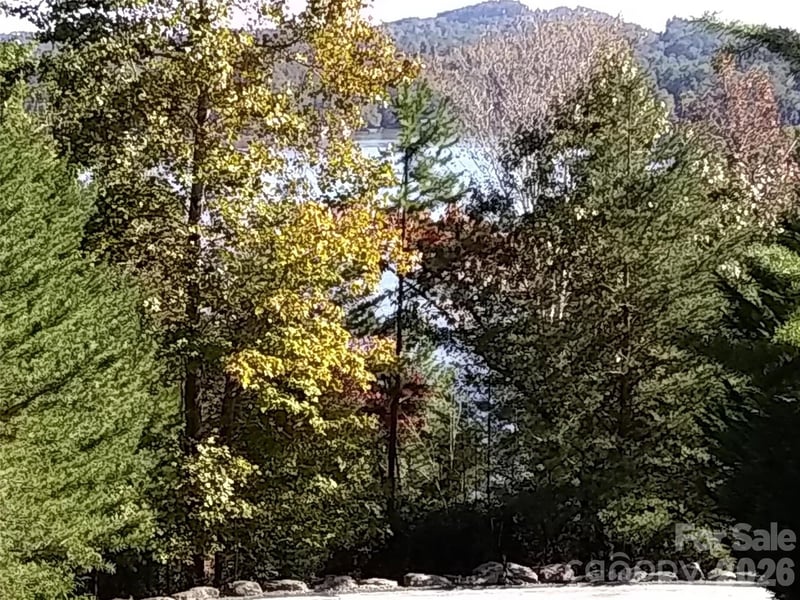 Hilltop None #41, Lake Lure, NC 28746