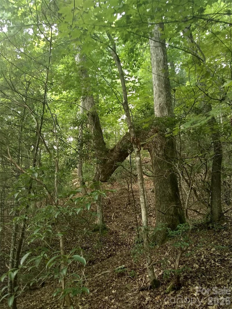 Hilltop None #41, Lake Lure, NC 28746
