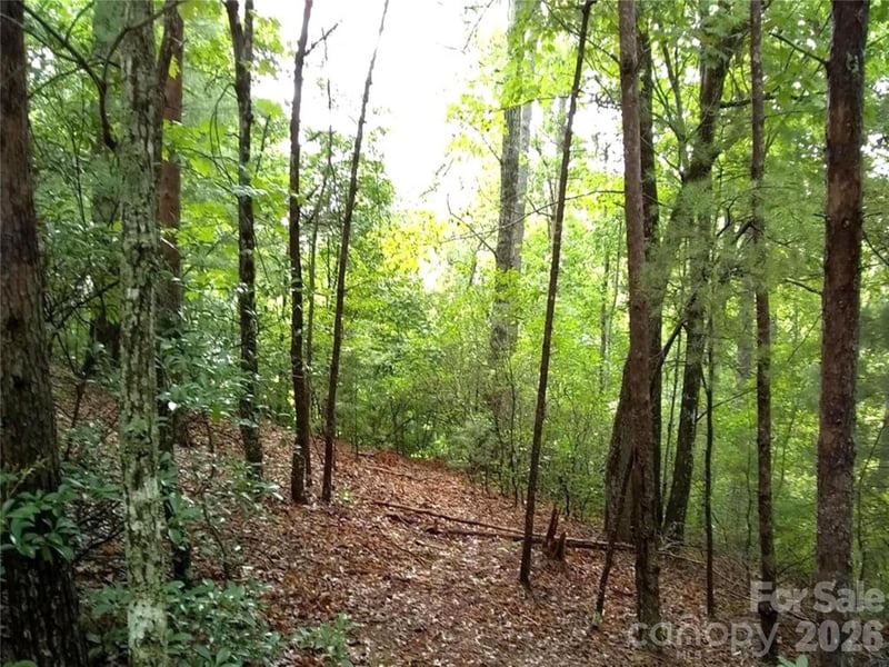 0 Hilltop None #41, Lake Lure, NC 28746