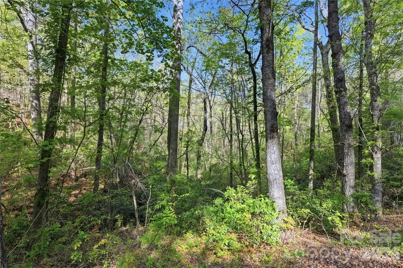 Wolf Trl #030, Lake Lure, NC 28746