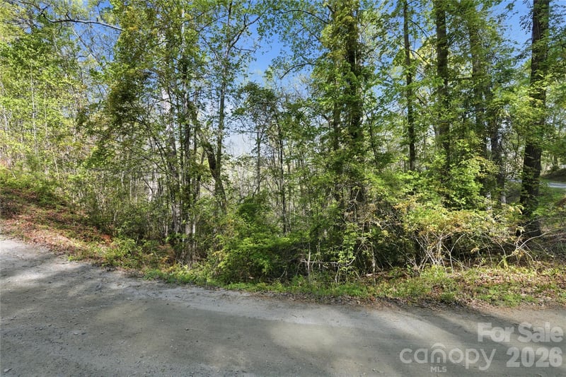 Wolf Trl #030, Lake Lure, NC 28746