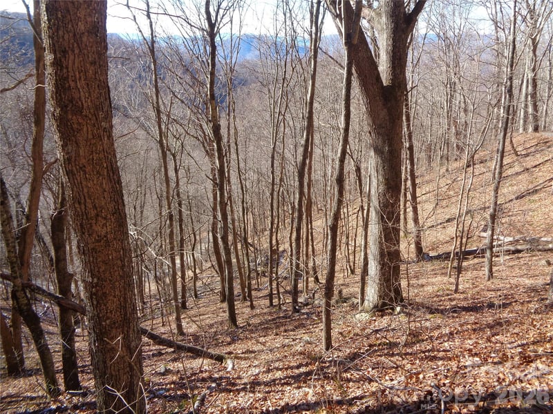 00 Listening Cv #41, Clyde, NC 28721