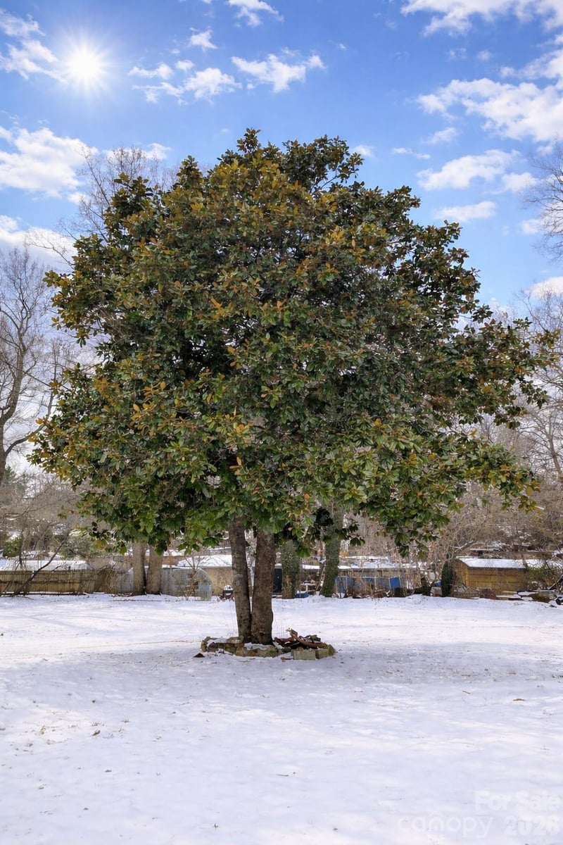 85 Vance Ave, Black Mountain, NC 28711