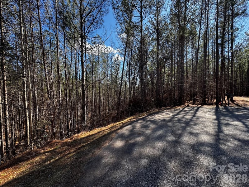 LT 5 Geebees Way, Mill Spring, NC 28756