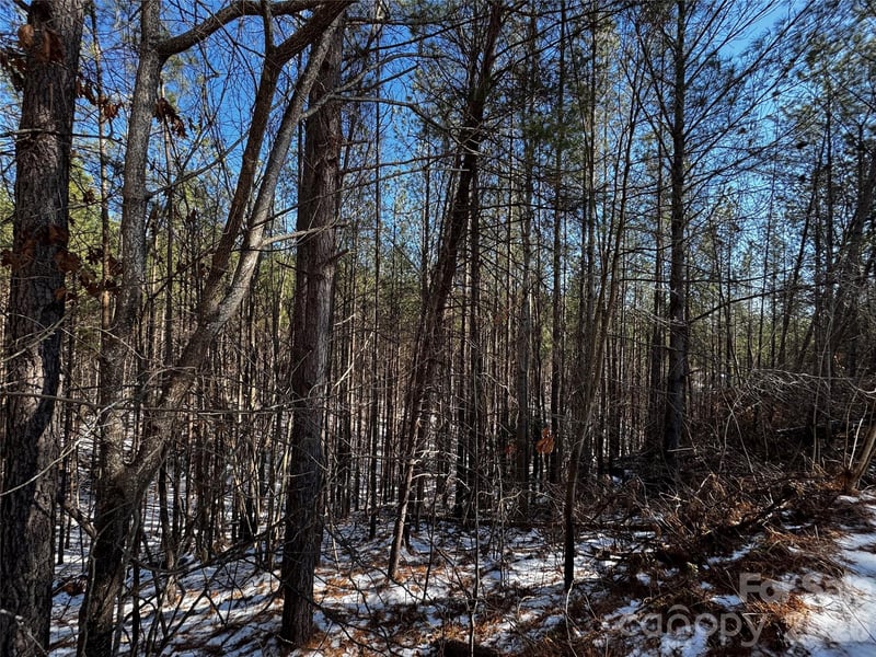 LT 5 Geebees Way, Mill Spring, NC 28756