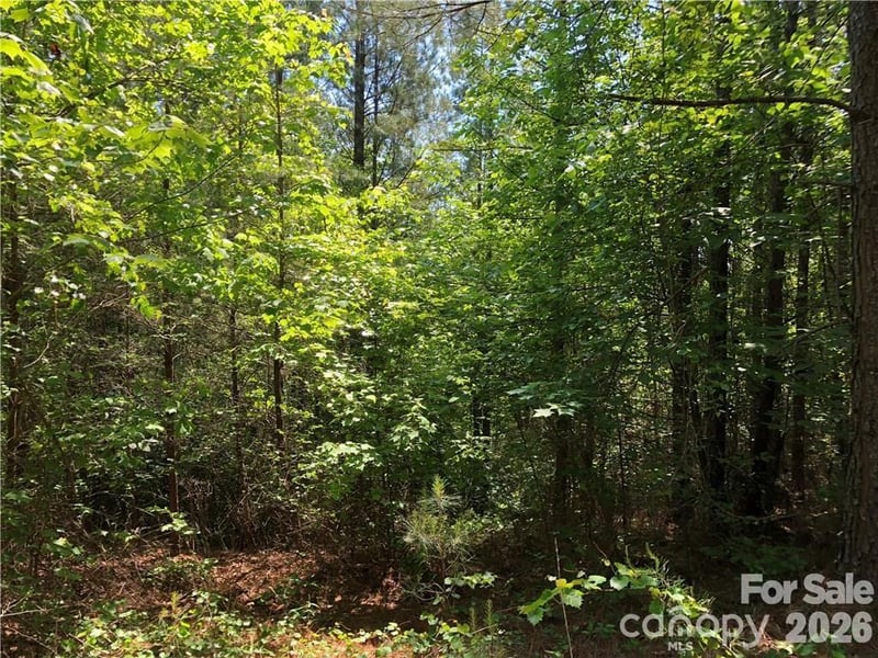 LT 5 Geebees Way, Mill Spring, NC 28756