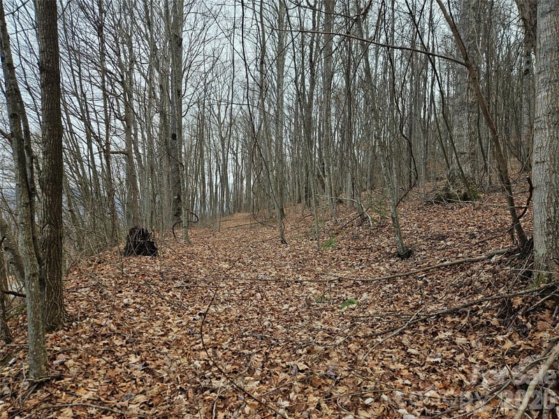 000 Slippery Rock Ln, Waynesville, NC 28785