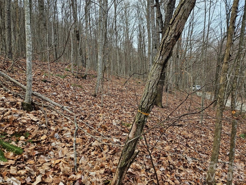 000 Slippery Rock Ln, Waynesville, NC 28785