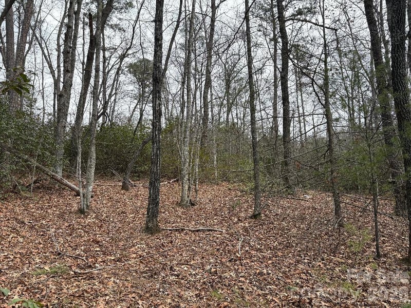 Lot 106 Ravenswood Dr, Marion, NC 28752