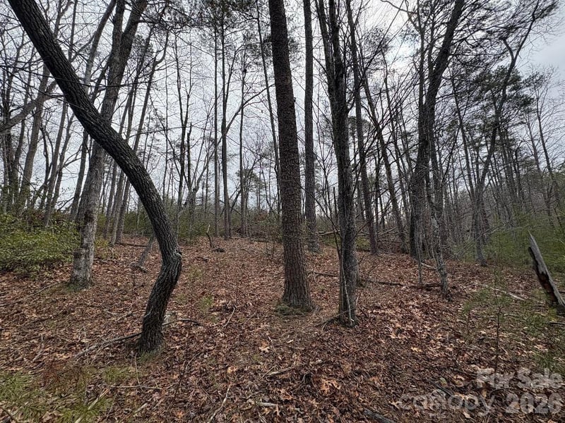 Lot 106 Ravenswood Dr, Marion, NC 28752